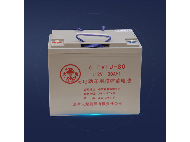 電動(dòng)車免維護(hù)電池