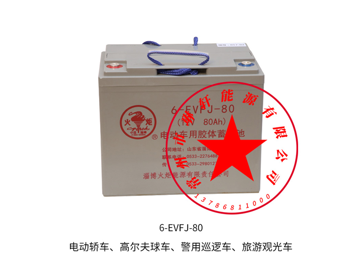 電動(dòng)車免維護(hù)電池